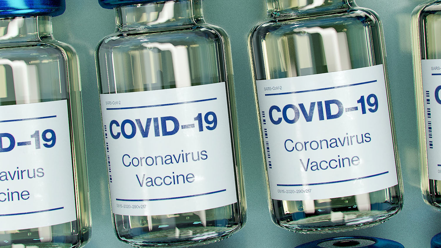 rows of vials containing covid-19 vaccine
