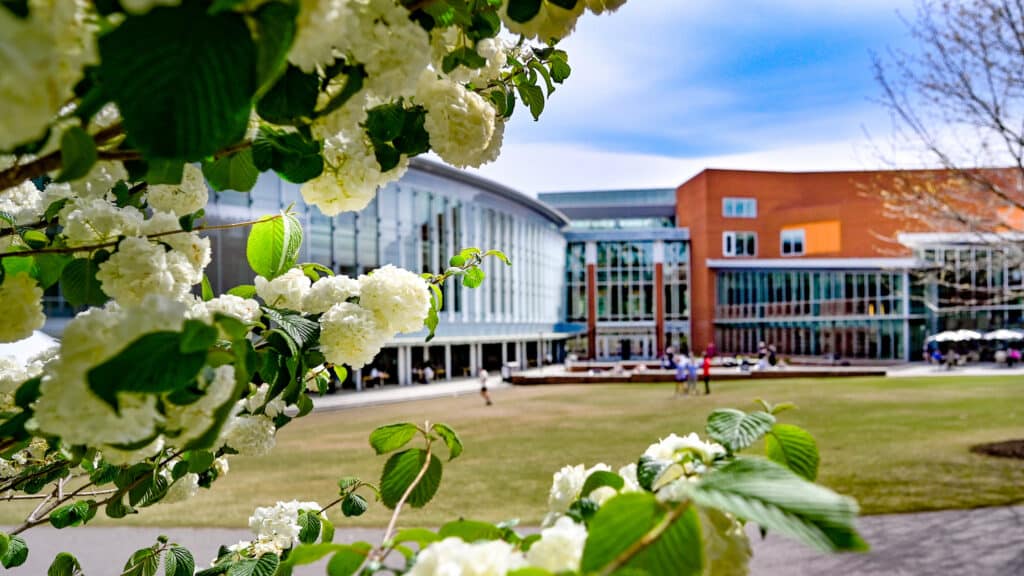 Flowers bloom outside of Talley Student Union.