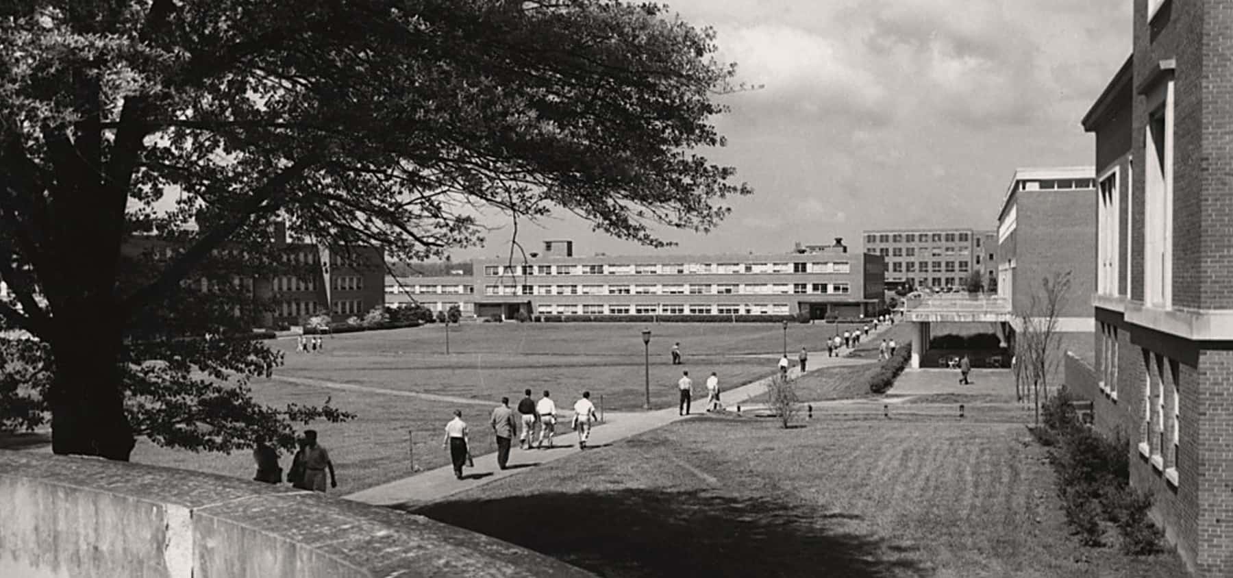 The brickyard area of campus before it was bricks