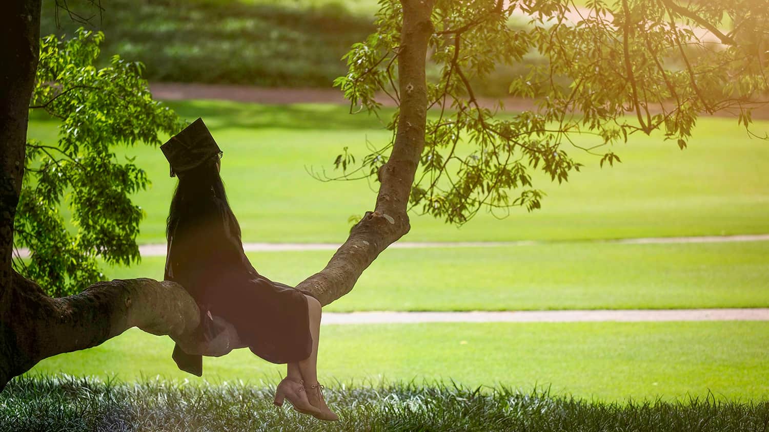 A student in red robes sits on a tree branch and looks out to the Court of North Carolina.