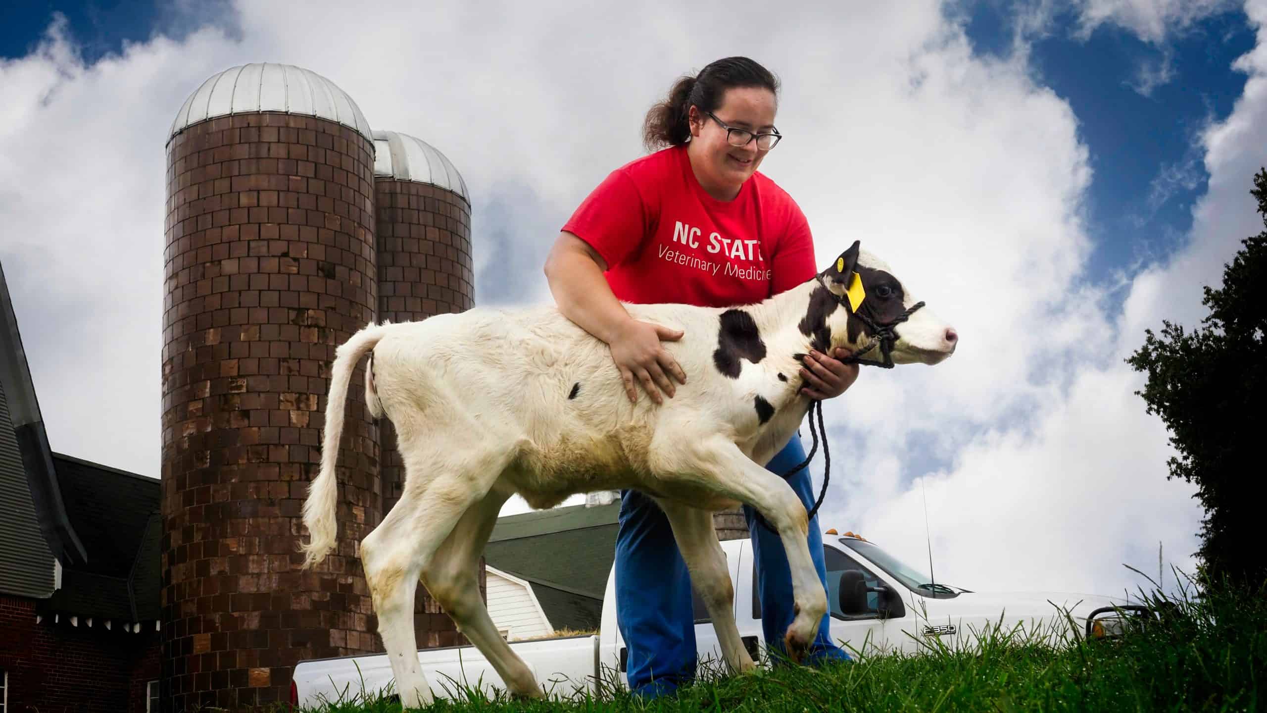 A veterinary medicine student stands with a one-month-old calf.