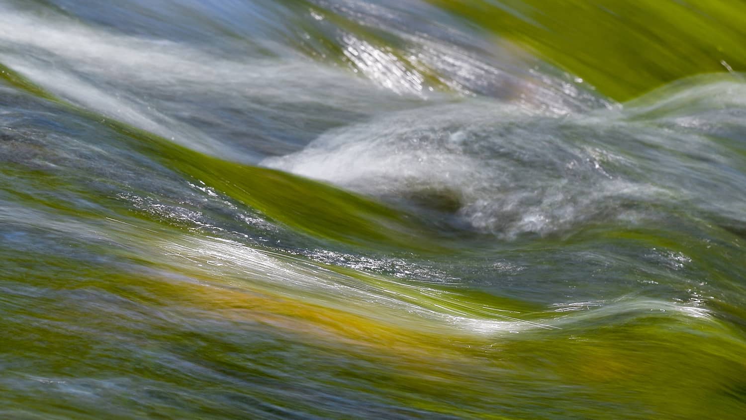 Sun-dappled, rushing water at Lake Raleigh.