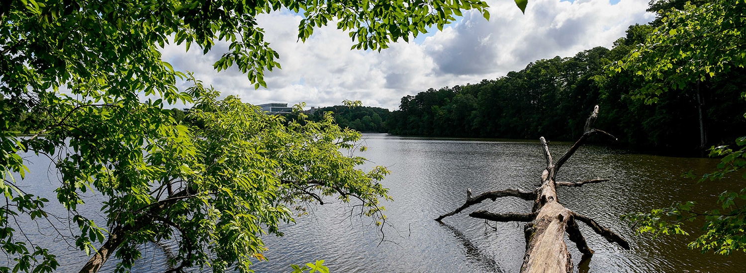 A view of serene Lake Raleigh, with Hunt Library peeking out from across the water.
