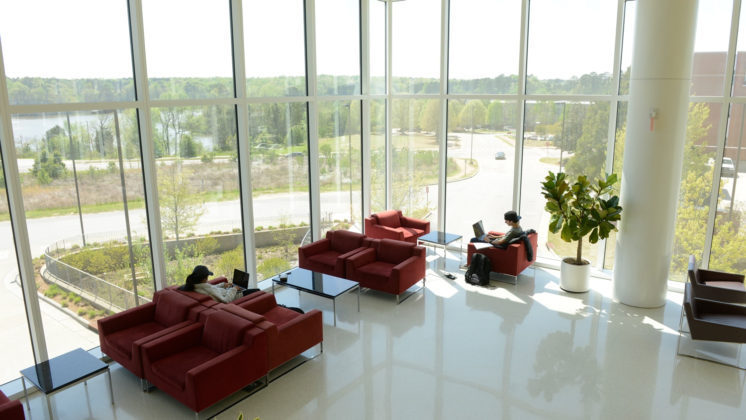 Students work and study in the James B. Hunt Jr. library.