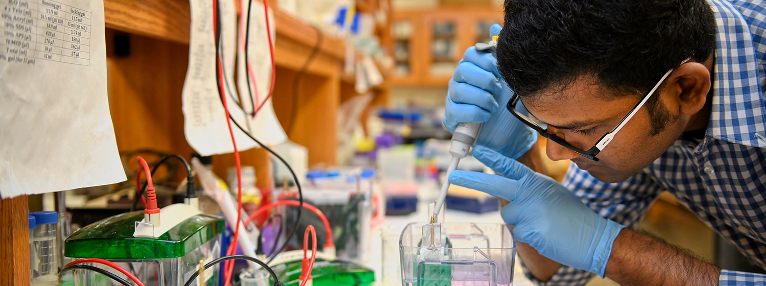 A student works in the biochemistry lab on campus.