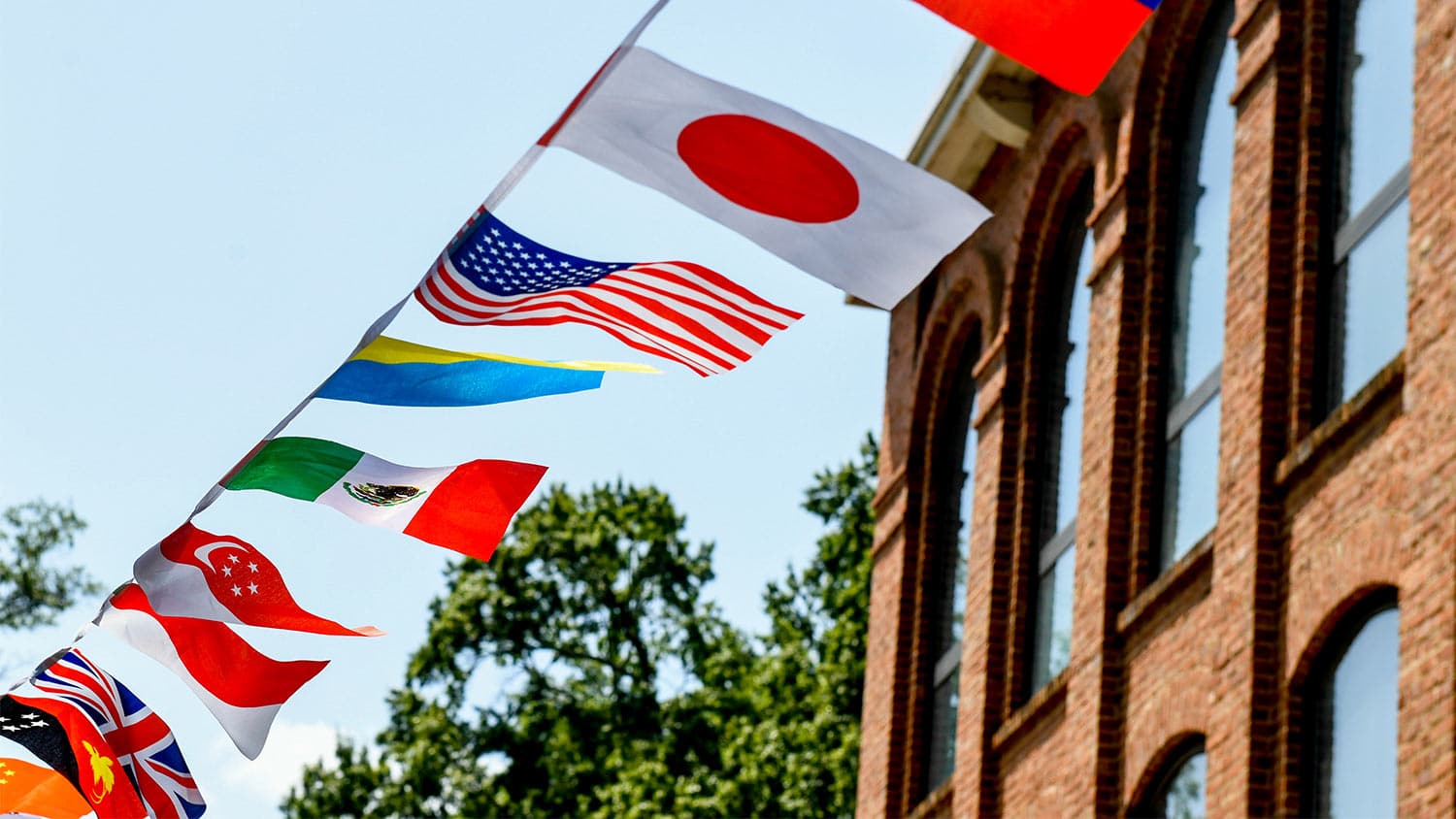 International flags fly in the Global Courtyard on main campus. 