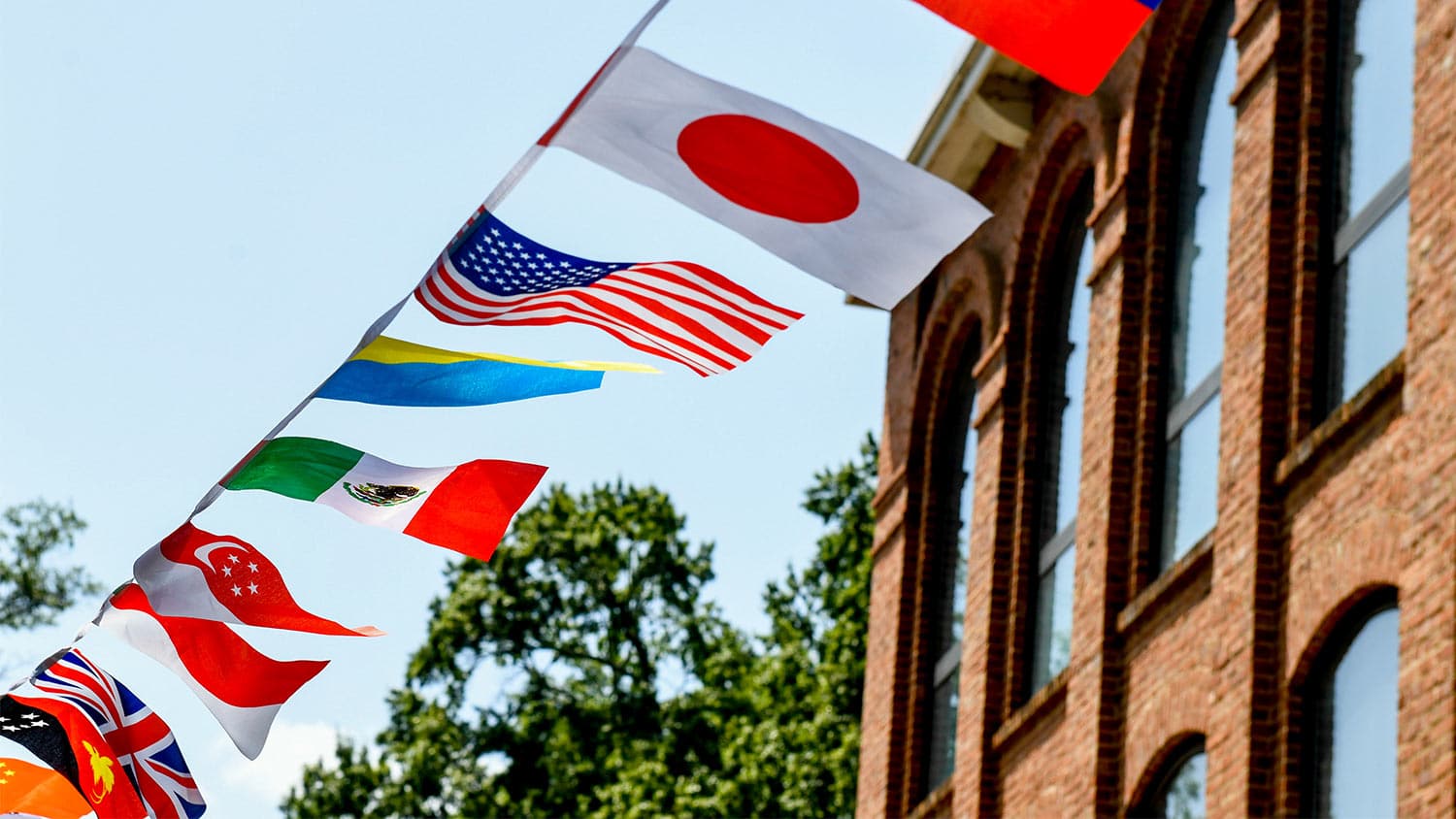International flags fly in the Global Courtyard on main campus.