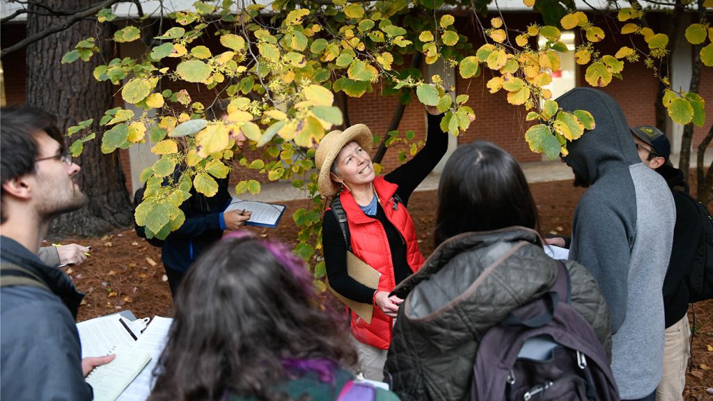 Dr. Steph Jeffries helps students identify plants during an outdoor dendrology class session.