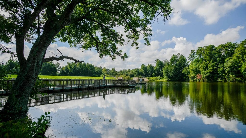 Lake Raleigh on Centennial Campus offers scenic views and recreational activities.