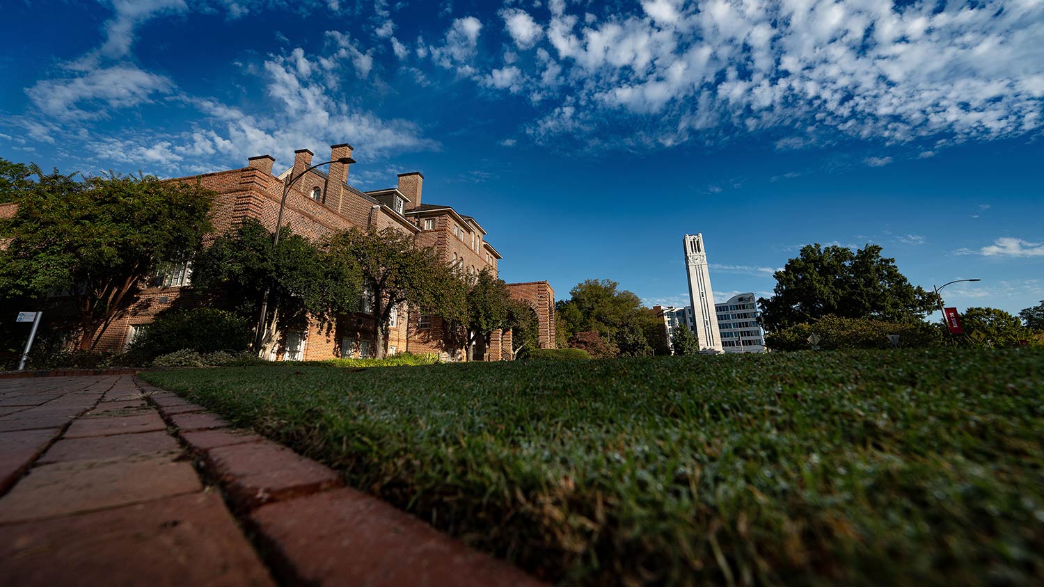 The NC State Belltower and Holladay Hall on main campus.