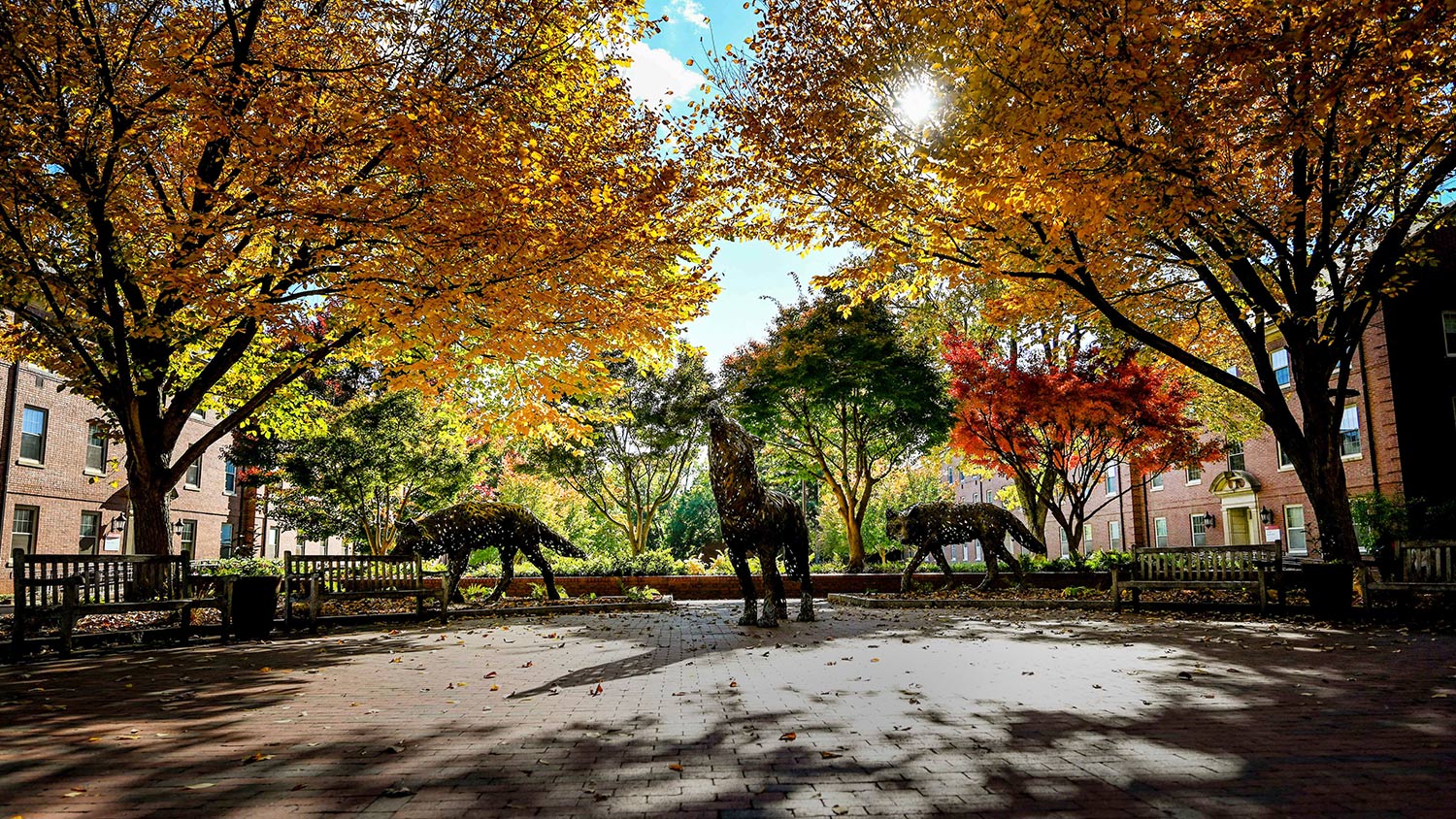 Wolf Plaza on a warm fall afternoon.