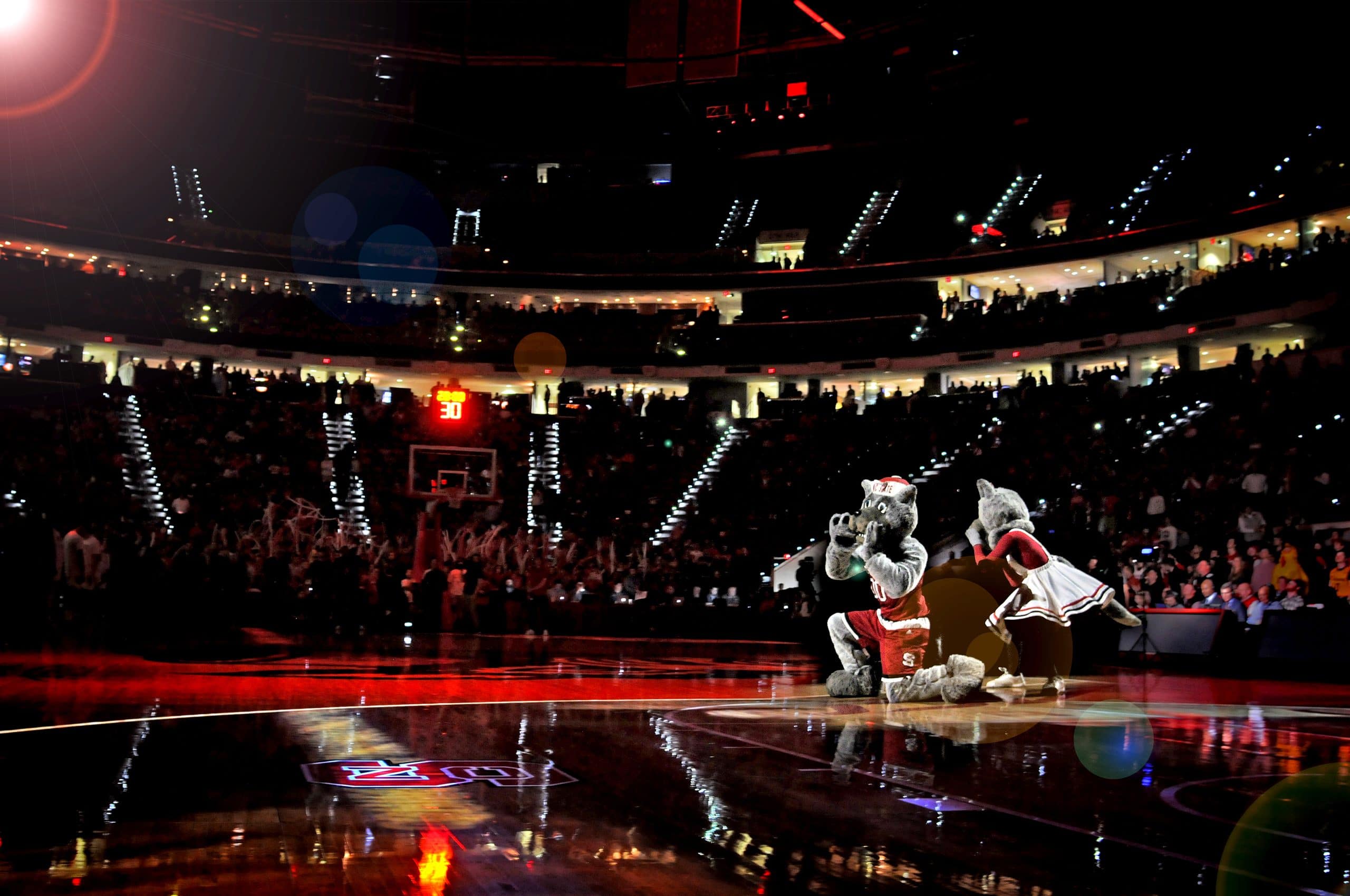 Mr and Ms Wuf howl prior to introductions of the men's basketball team in PNC Arena before the start of the ACC contest against UVA.