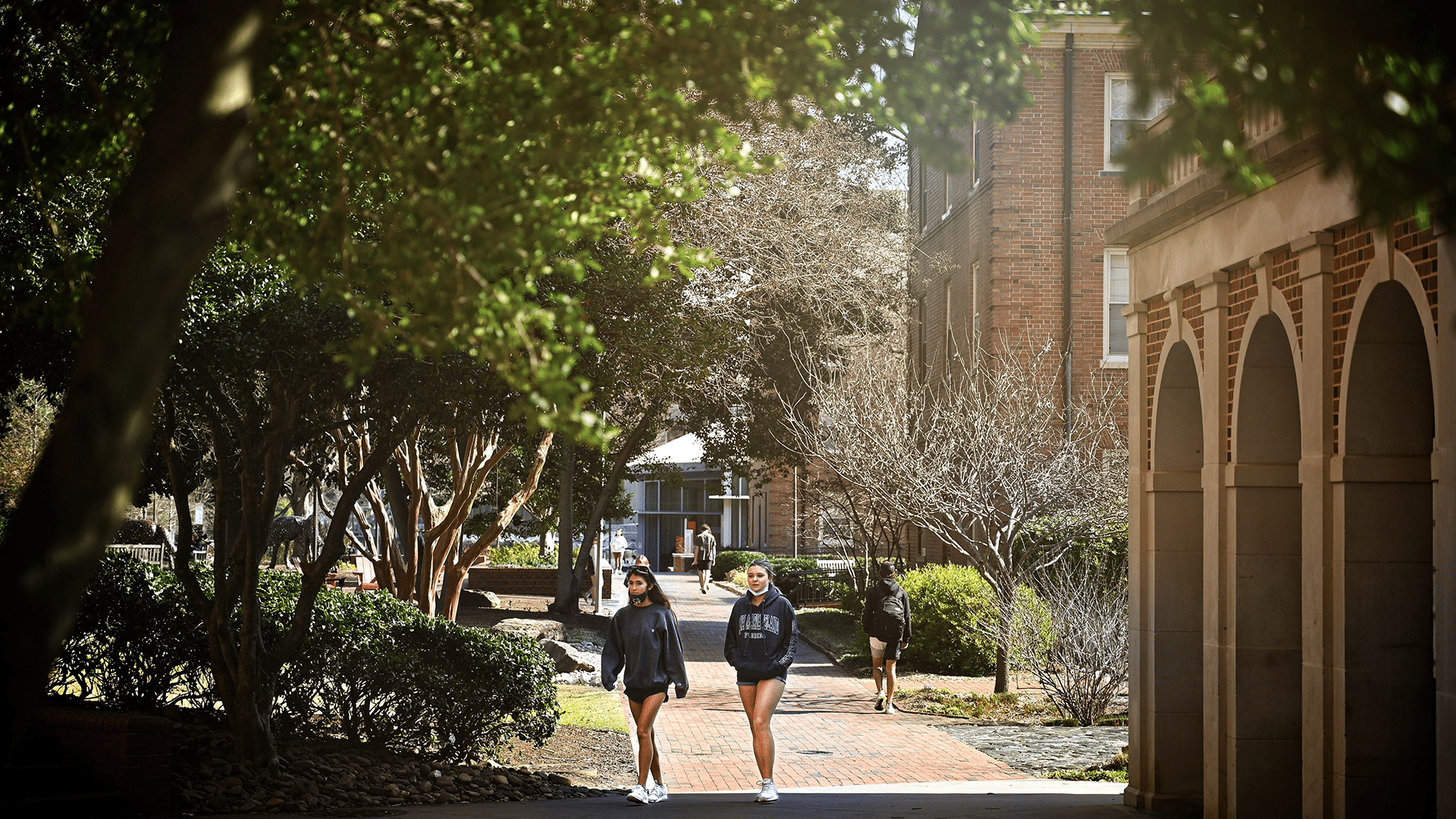 Students walk through Main Campus on a bright day.