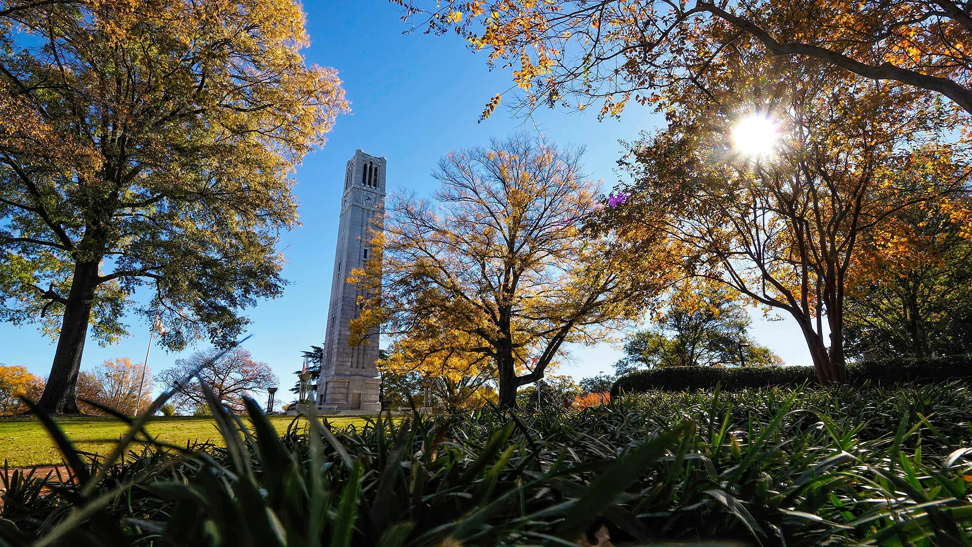 The Memorial Belltower at NC State, surrounded by trees.