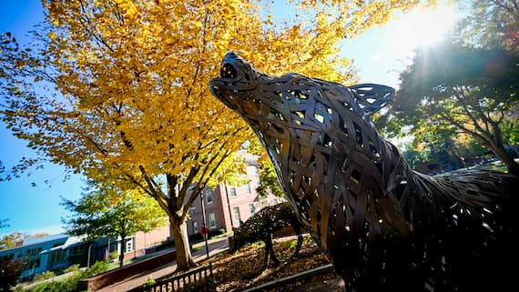 A copper wolf statue surrounded by golden trees in autumn.
