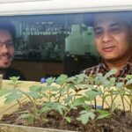 Kevin Garcia and Arjun Kafle study plant-microbe interactions in the Department of Crop and Soil Sciences.