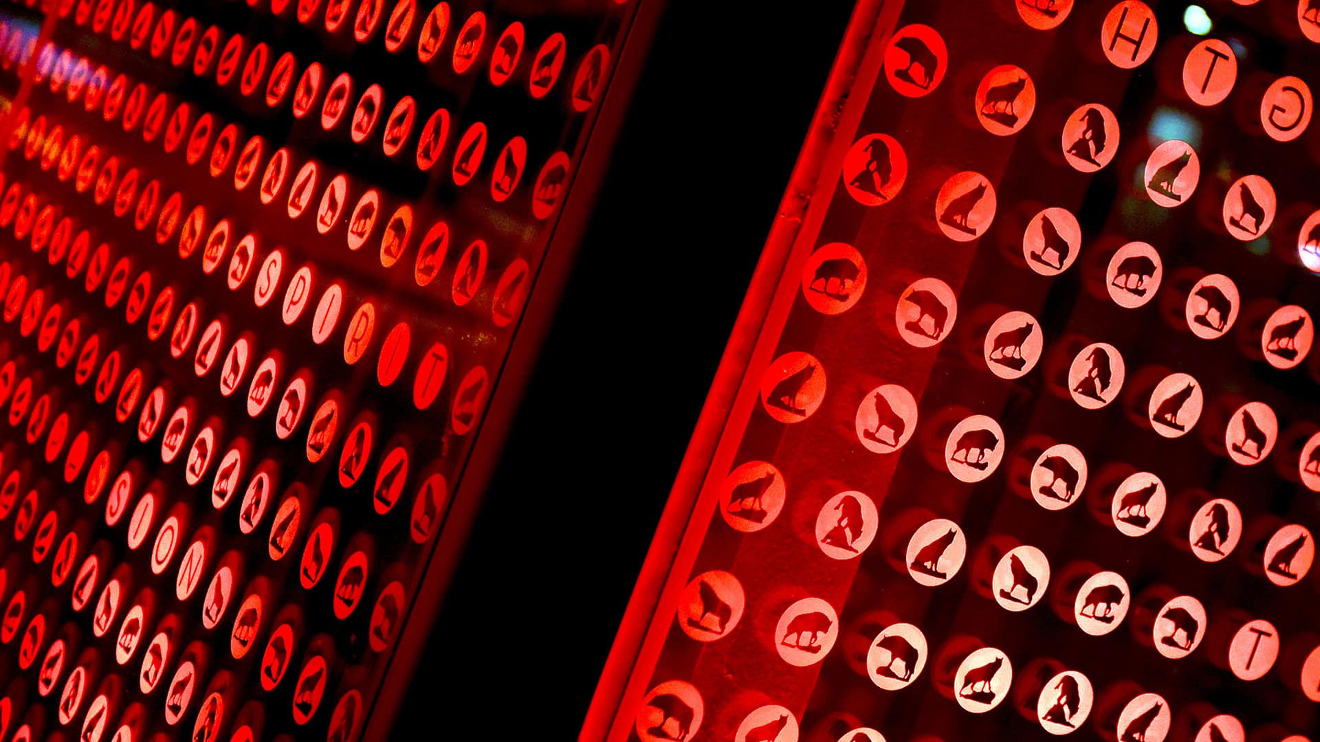 Red light reflects on a glass panel covered in wolf silhouettes.