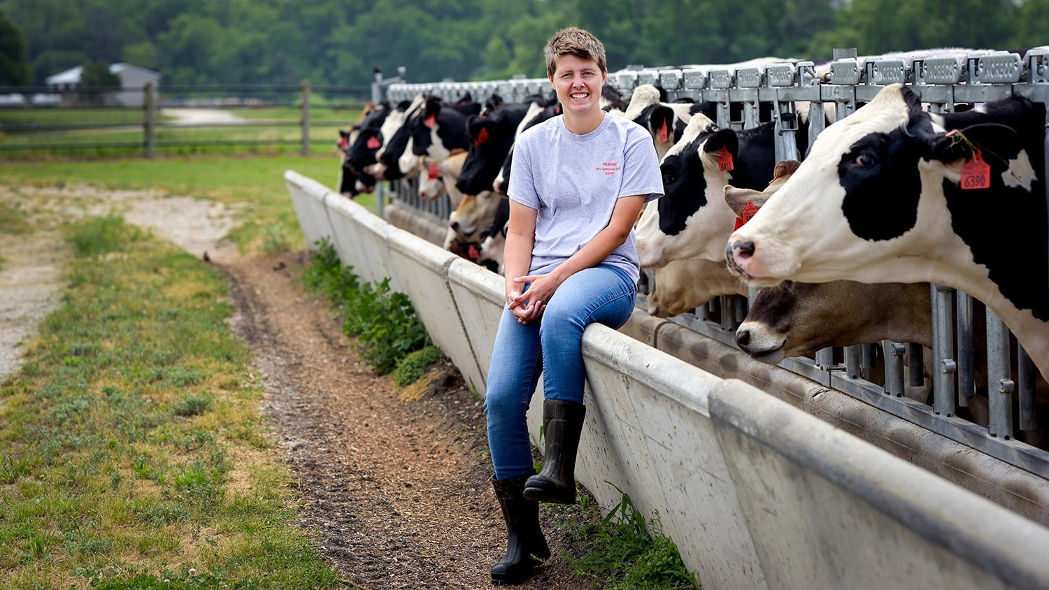 Caroline Vande Berg sits next to a food trough, where a row of heifers eat.