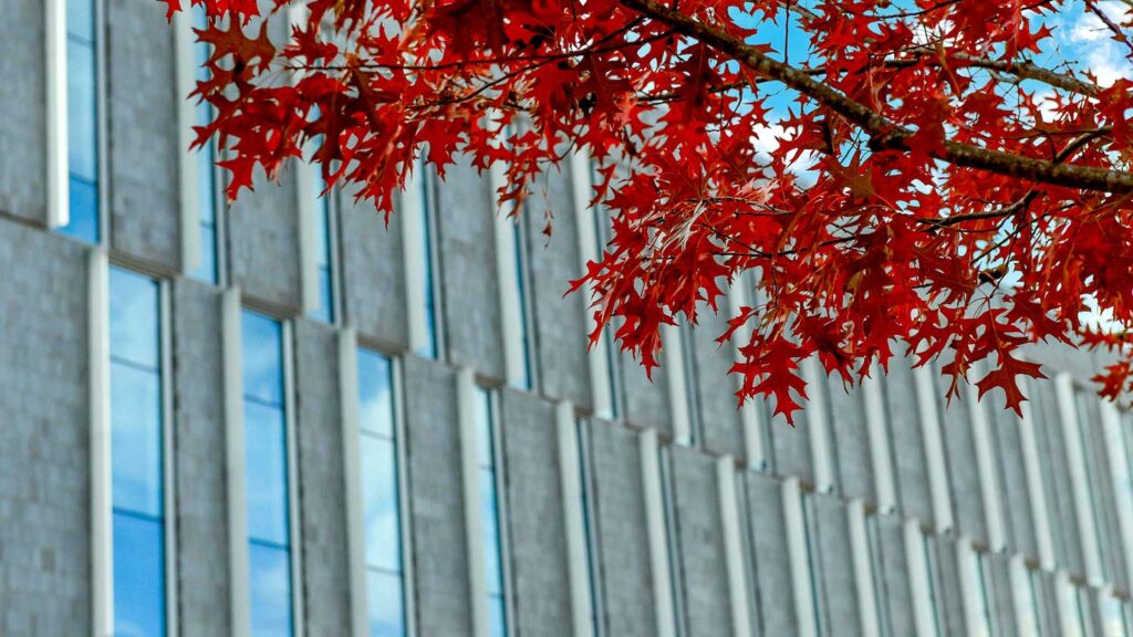 Fall leaves frame the Fitts-Woolard Engineering building on Centennial Campus.