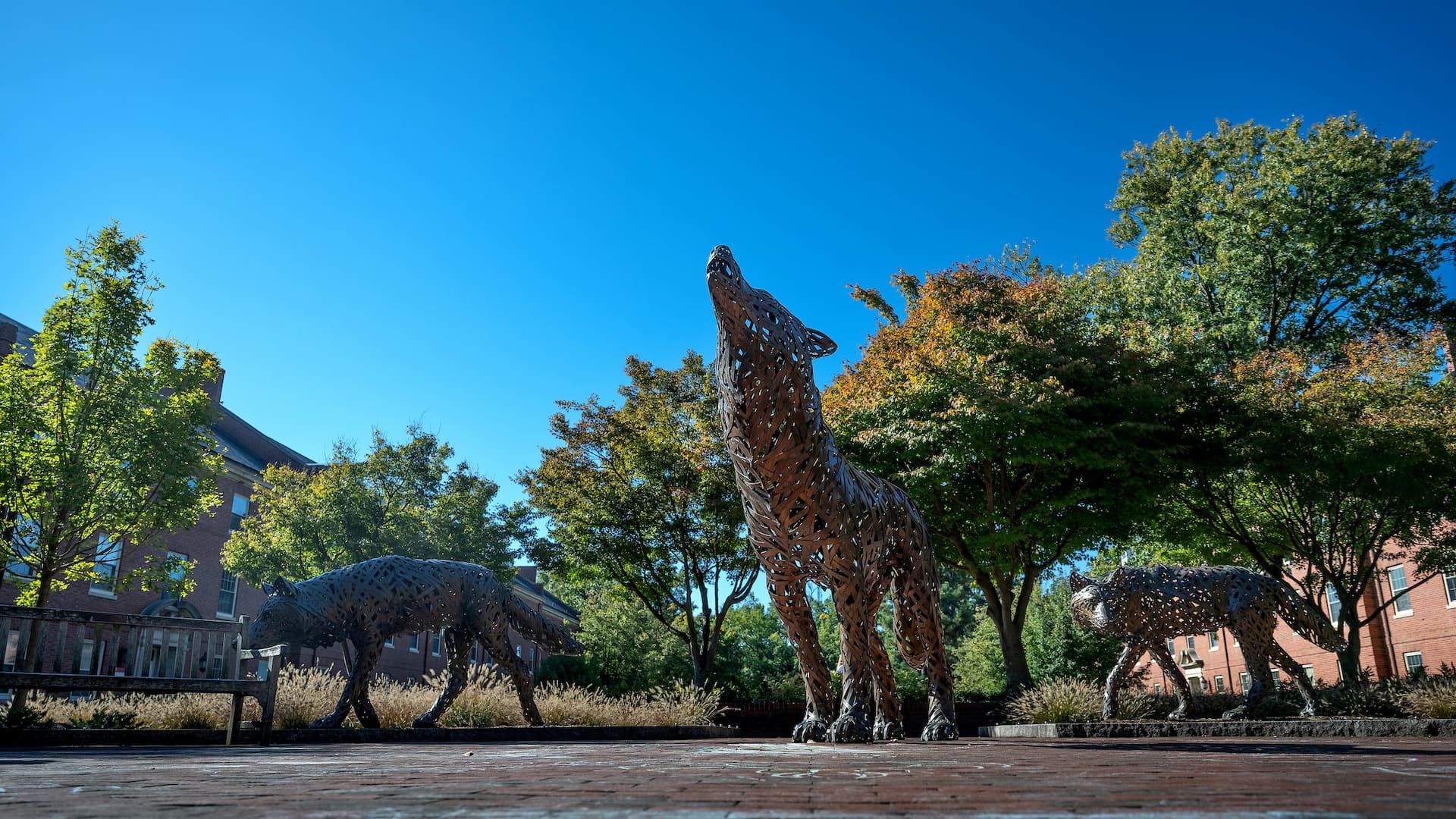 Copper wolves howl at the blue sky.