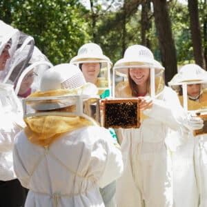 Undergraduate student researchers inspect honey bee frames.