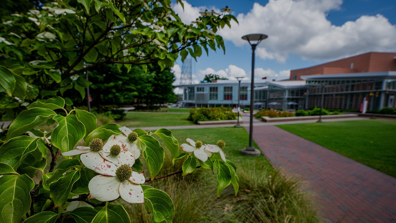 Stafford Commons on a summer day.