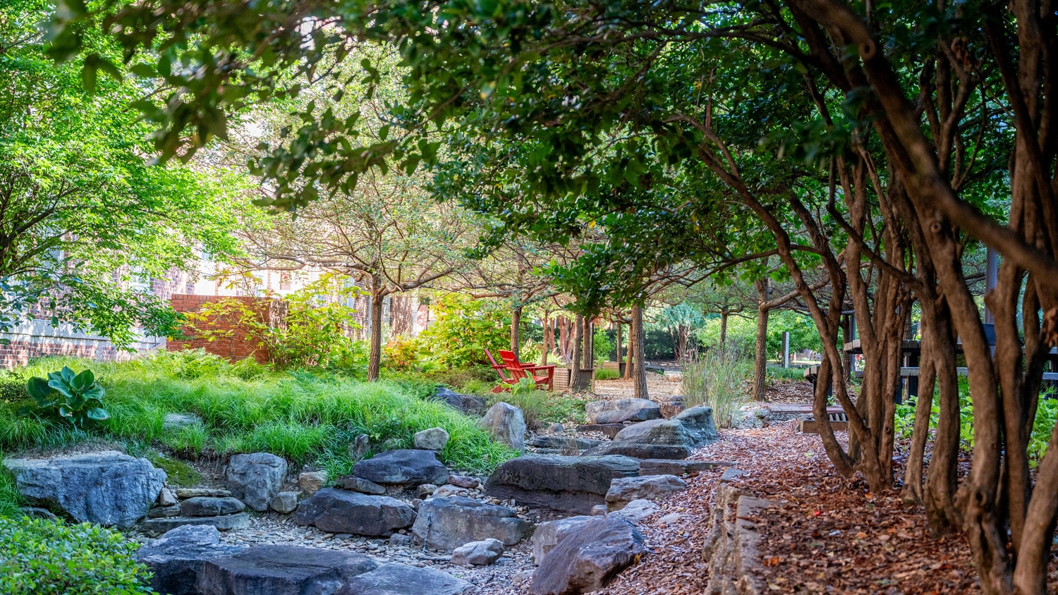 A vibrant green space on NC State's campus.