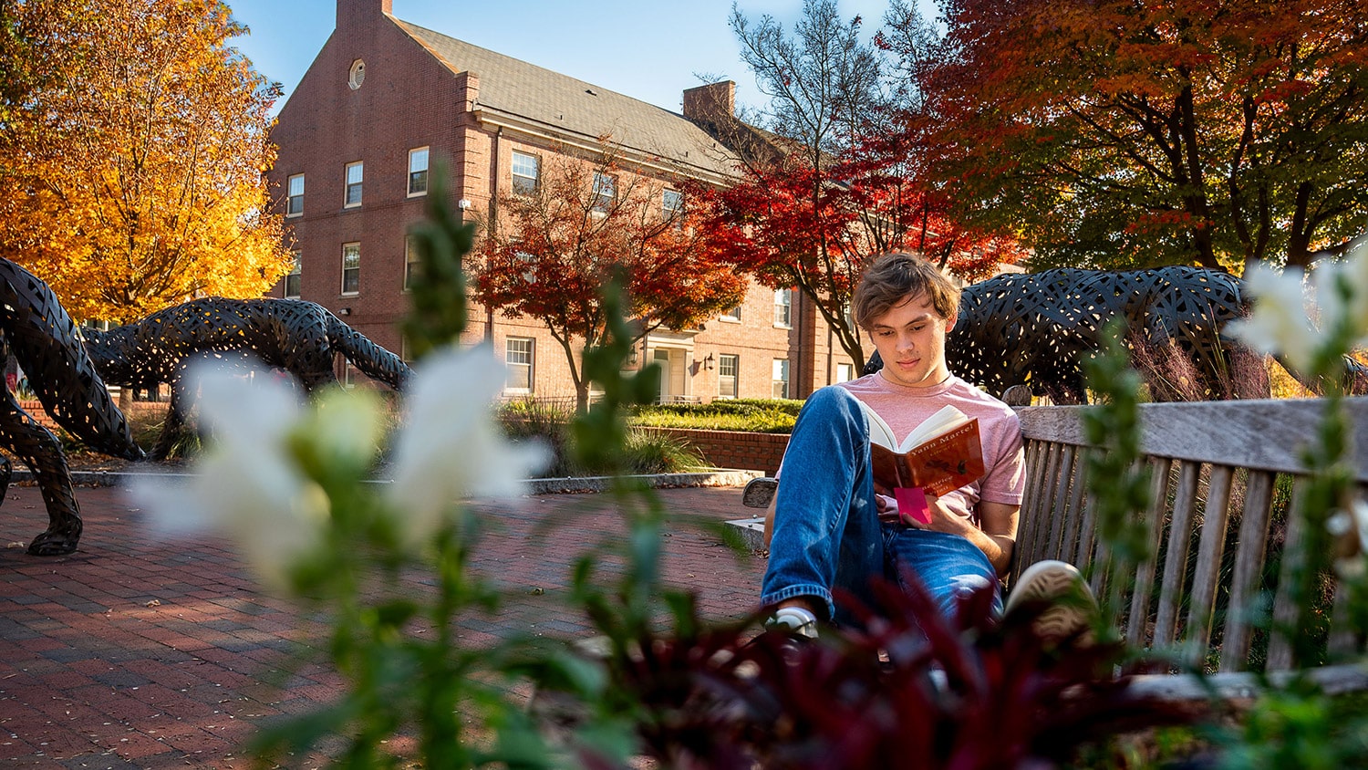 A student sits on a bench reading a book with fall foliage surrounding him.